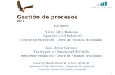 Gestión de procesos 2011