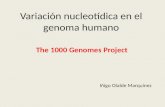 Variación  nucleotídica  en el genoma humano