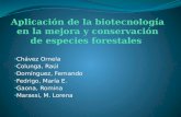 Aplicación de la biotecnología en la mejora y conservación de especies forestales
