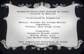 Benemérita Universidad Autónoma de Puebla Facultad de Medicina Licenciatura en Biomedicina