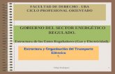 GOBIERNO DEL SECTOR ENERGÉTICO REGULADO. Estructura de los Entes Reguladores (Gas y Electricidad).