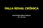 Falla renal crónica