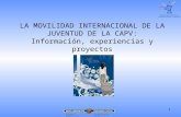 LA MOVILIDAD INTERNACIONAL DE LA JUVENTUD DE LA CAPV: Información, experiencias y proyectos