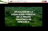 APLICACIÓN DE LA LEGISLACIÓN FORESTAL EN LA REGIÓN AMAZÓNICA DE VENEZUELA