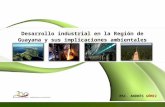 Desarrollo industrial en la Región de Guayana y sus implicaciones ambientales