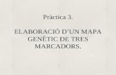 Pràctica 3. ELABORACIÓ D’UN MAPA GENÈTIC DE TRES MARCADORS.