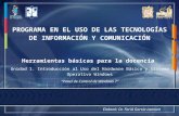 PROGRAMA EN EL USO DE LAS TECNOLOGÍAS DE INFORMACIÓN Y COMUNICACIÓN