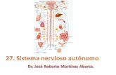 27.  Sistema nervioso autónomo