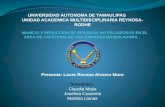 Presenta: Laura Roxana Alvarez Muro Sinodales: Claudia Mejia Josefina Cuarenta Martina Llanas