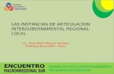 LAS INSTANCIAS DE ARTICULACION  INTERGUBERNAMENTAL REGIONAL-LOCAL