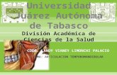 Universidad Juárez Autónoma de Tabasco División Académica de Ciencias de la Salud