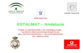 PROYECTO ESTALMAT – Andalucía PARA LA DETECCIÓN Y EL ESTÍMULO DEL  TALENTO PRECOZ EN MATEMÁTICAS