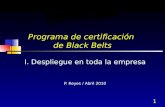 Programa de certificación  de Black  Belts