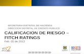 CALIFICACION DE RIESGO – FITCH RATINGS Feb. 05 de 2013