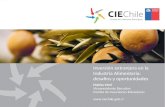 Inversión extranjera en la Industria Alimentaria:  desafíos y oportunidades