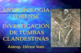 ANTROPOLOGÍA FORENSE INVESTIGACIÓN  DE TUMBAS CLANDESTINAS Antrop. Héctor Soto