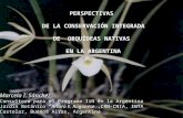 PERSPECTIVAS  DE LA CONSERVACIÓN INTEGRADA DE  ORQUÍDEAS NATIVAS  EN LA ARGENTINA