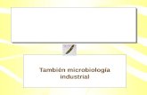 Tambi©n microbiolog­a industrial
