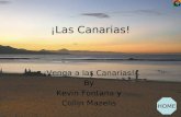 ¡Las Canarias!