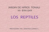 JARDIN DE NIÑOS  TONALI   M- 894-049