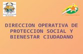 DIRECCION OPERATIVA DE PROTECCION SOCIAL Y BIENESTAR CIUDADANO