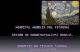 HOSPITAL ANGELES DEL  PEDREGAL SESIÓN  DE MORBIMORTALIDAD  MENSUAL SERVICIO  DE CIRUGÍA GENERAL