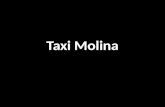 Taxi Molina