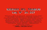 RIESGOS DEL TRABAJO Ley N°  24.557