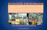 Análisis de comunidades microbianas basadas en técnicas de cultivo.