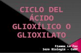 CICLO DEL ÁCIDO GLIOXÍLICO O GLIOXILATO
