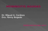 MENINGITIS AGUDAS  Dr. Miguel A. Cardozo Dra. Fanny Bogado EMERGENTOLOGIA 2013