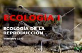ECOLOGÍA I ECOLOGÍA DE LA REPRODUCCIÓN Trimestre 12 -O