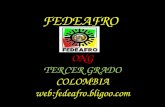 FEDEAFRO ONG TERCER GRADO COLOMBIA web:fedeafro.bligoo