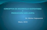 CONCEPTOS DE DESARROLLO  SUSTENTABLE  Y  PRODUCCIÓN  MÁS LIMPIA