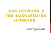 Los jóvenes y las subculturas urbanas