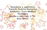 Nombres y apellidos: Camila Huerta Espinoza Profesor: Juan Manuel Huapaya