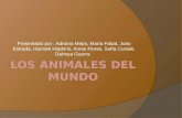 LOS ANIMALES DEL MUNDO
