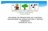INFORME DE RENDICIÓN DE CUENTAS SECRETARÍA DE AGRICULTURA Y MEDIO AMBIENTE VIGENCIA 2012