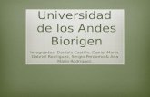 Universidad  de los Andes Biorigen