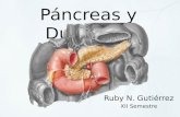 Páncreas y Duodeno