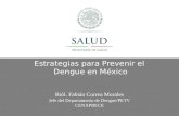 Estrategias para Prevenir el  Dengue  en México