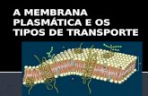 A MEMBRANA PLASMÁTICA E OS TIPOS DE TRANSPORTE