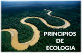 PRINCIPIOS  DE  ECOLOGIA