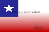 Proyecto amigo virtual
