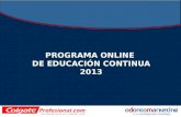 Programa Online  de Educación Continua 2013