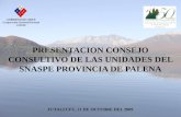 PRESENTACION CONSEJO CONSULTIVO DE LAS UNIDADES DEL SNASPE PROVINCIA DE PALENA
