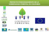 PROYECTO POSICIONAMIENTO DE LA  GOBERNANZA FORESTAL EN COLOMBIA