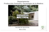Departamento  Producción Forestal y Tecnología de la Madera