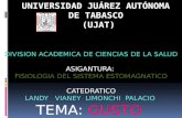 Universidad Juárez Autónoma De Tabasco  (UJAT)