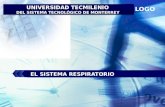UNIVERSIDAD TECMILENIO  DEL SISTEMA TECNOLÓGICO DE MONTERREY